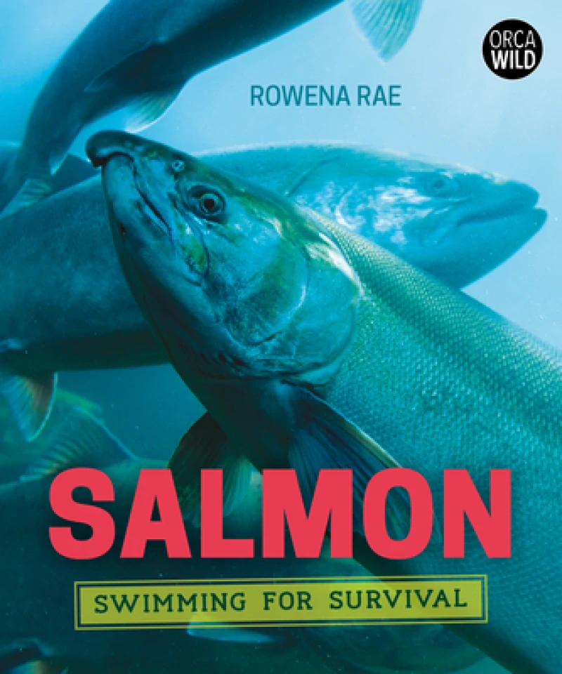 Salmon