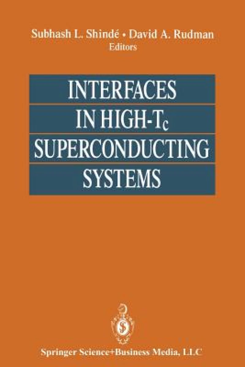 Interfaces in High-Tc Superconducting Systems