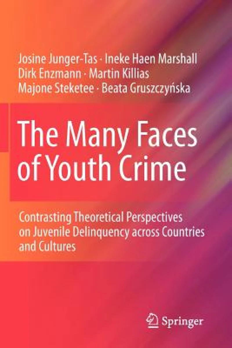 The Many Faces of Youth Crime