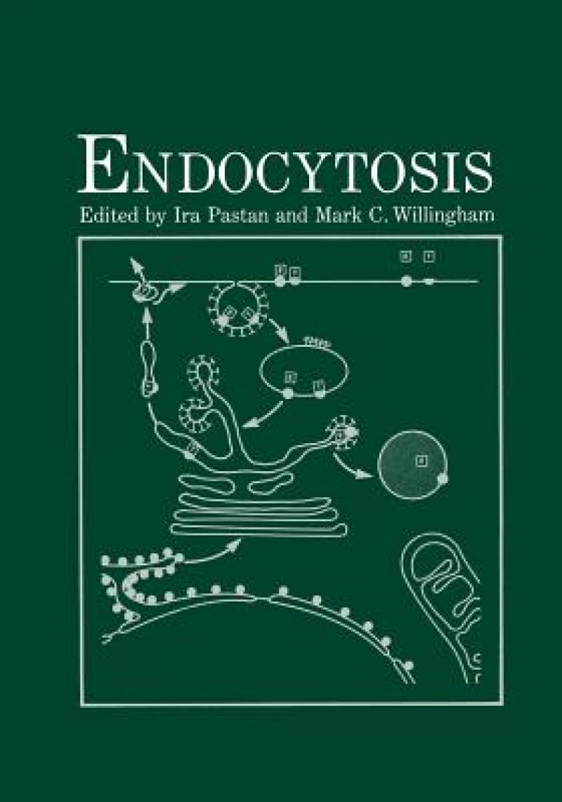 Endocytosis