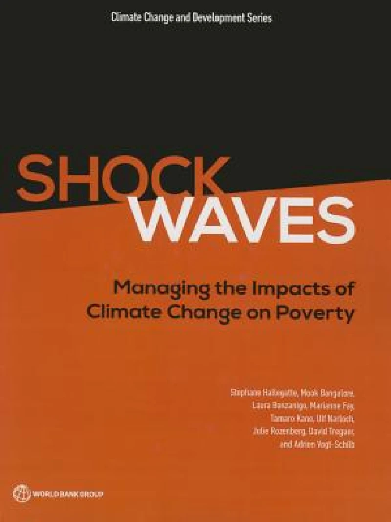 Shock Waves