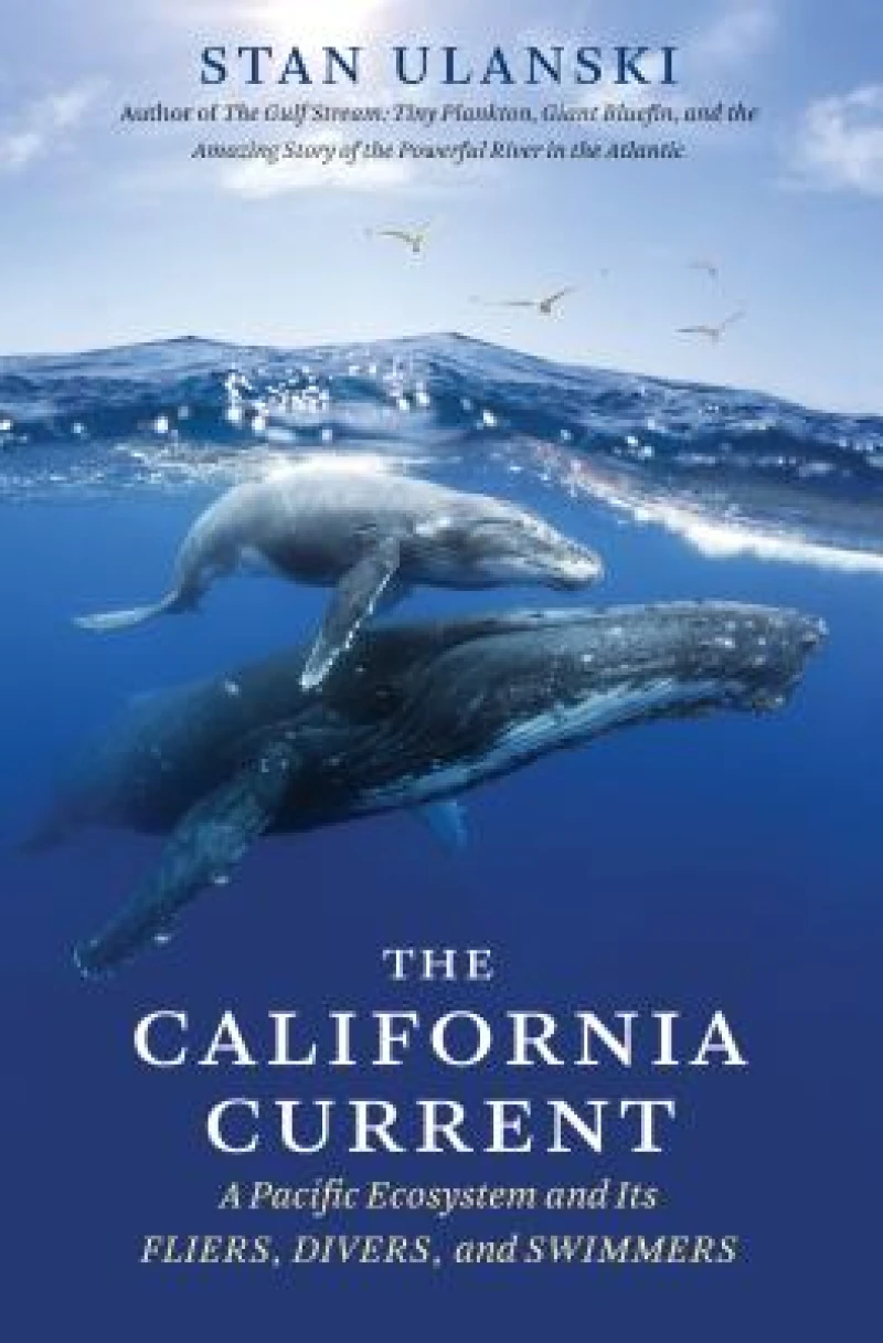The California Current