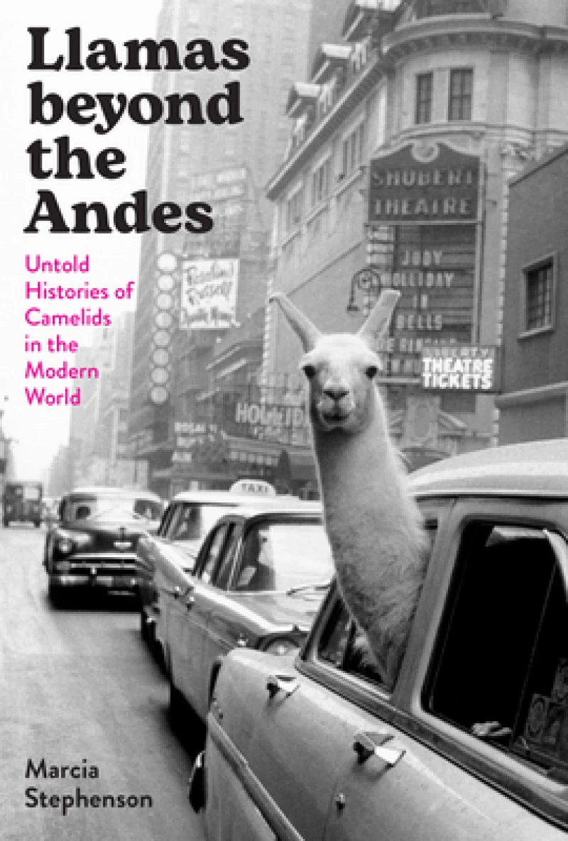 Llamas Beyond the Andes