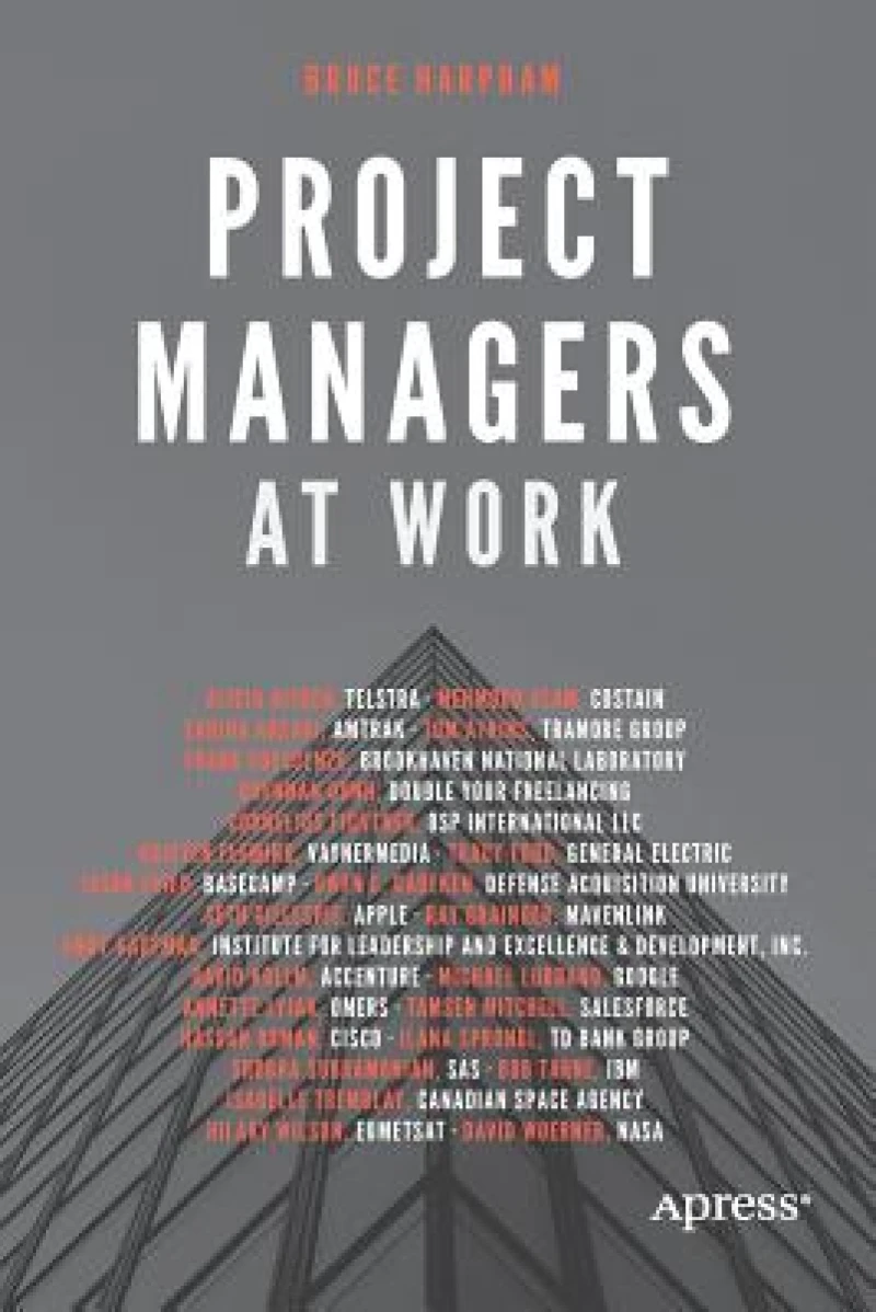 Project Managers at Work
