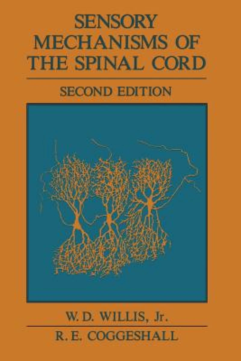 Sensory Mechanisms of the Spinal Cord
