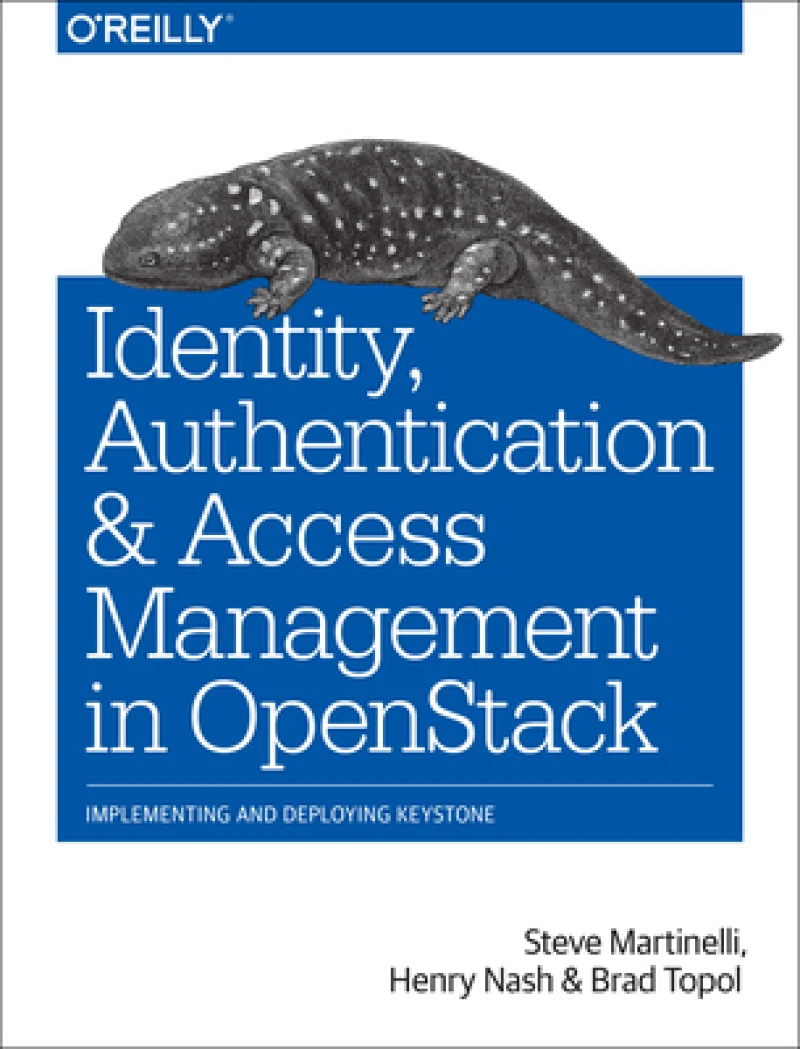 Identity, Authentication and Access Management in OpenStack