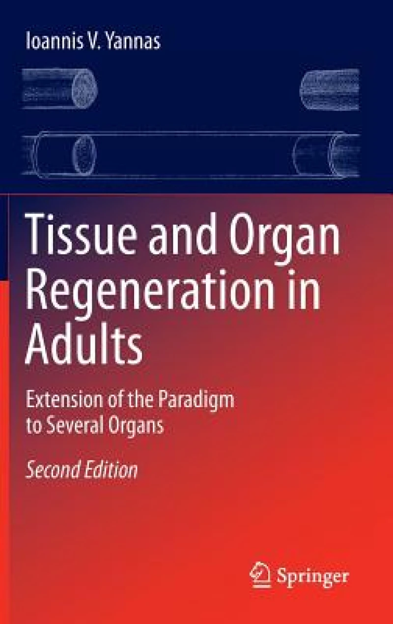 Tissue and Organ Regeneration in Adults