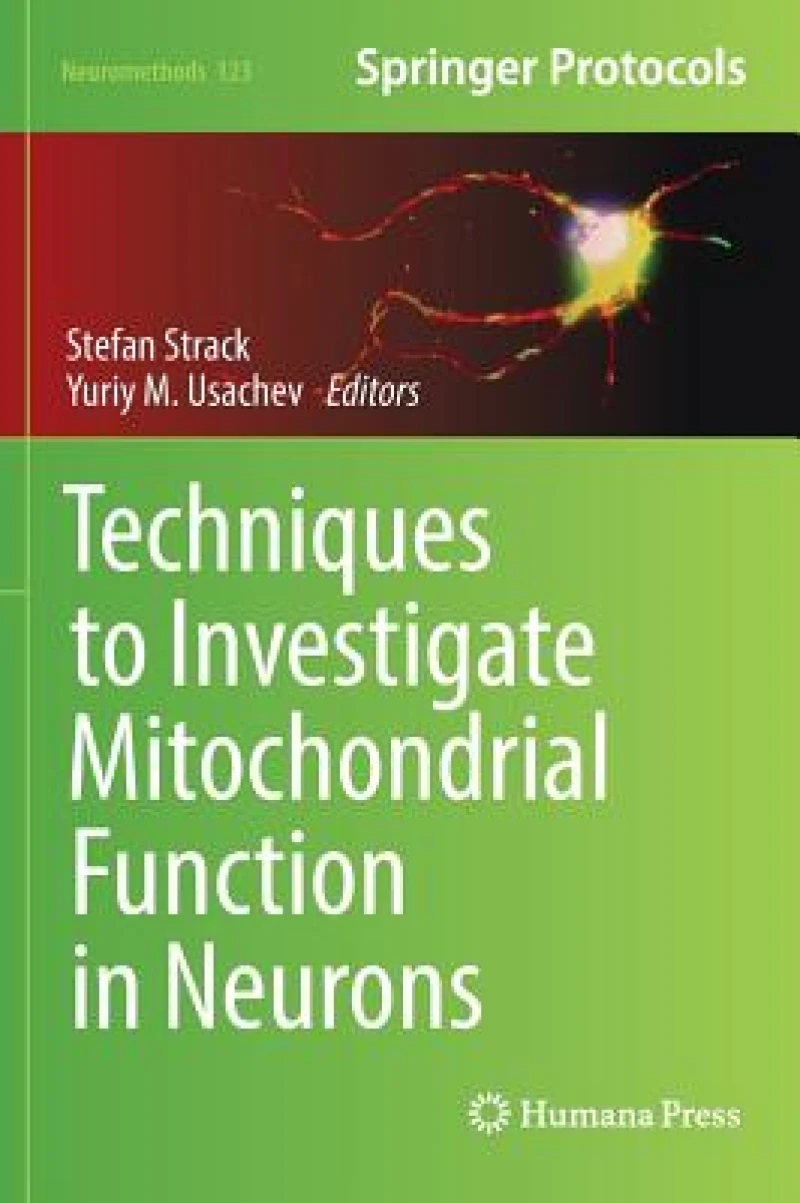 Techniques to Investigate Mitochondrial Function in Neurons