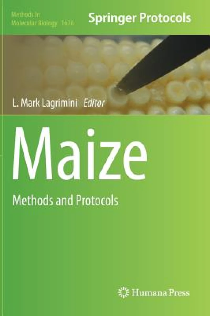 Maize