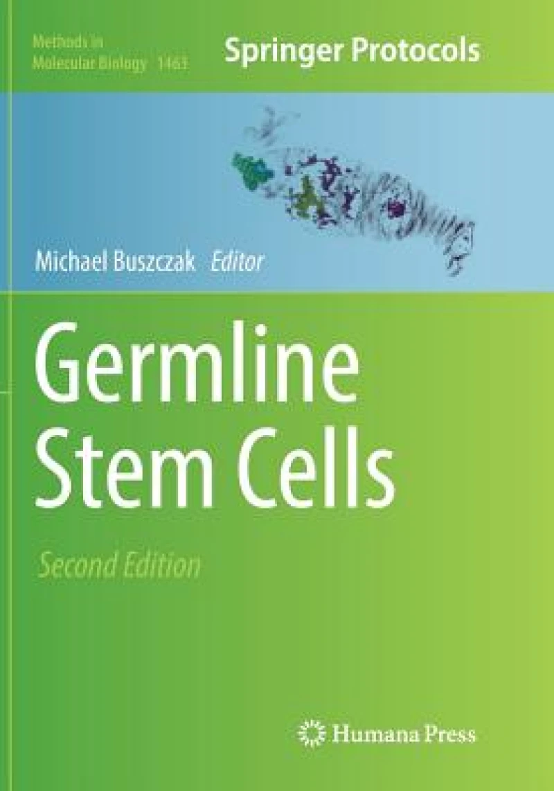 Germline Stem Cells