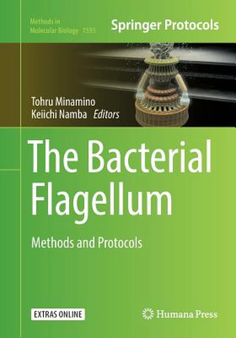 The Bacterial Flagellum