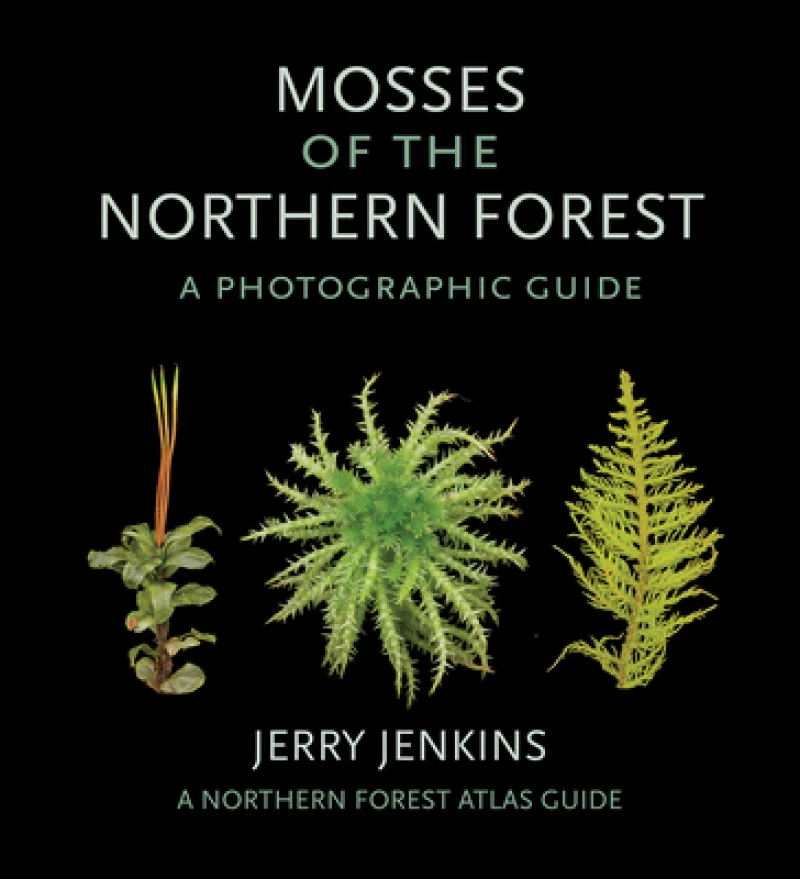 Mosses of the Northern Forest