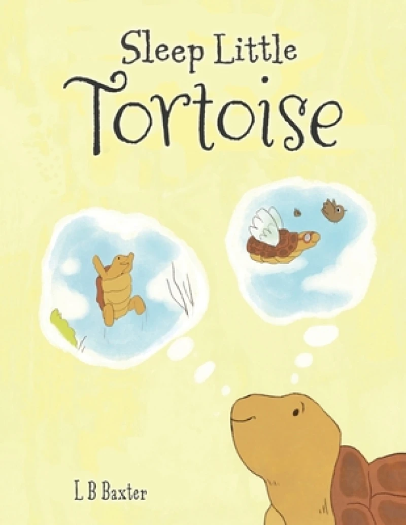 Sleep Little Tortoise