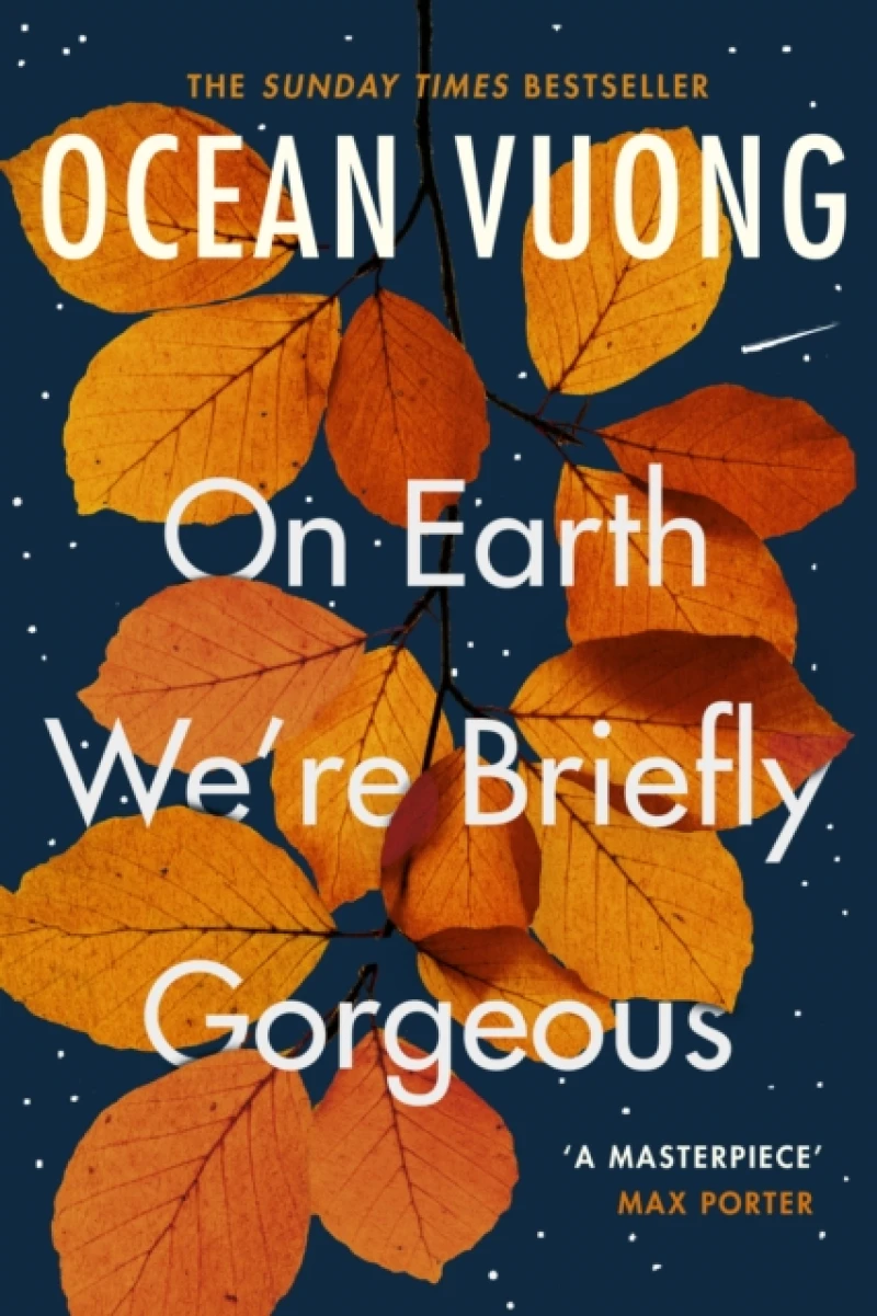 On Earth We''re Briefly Gorgeous