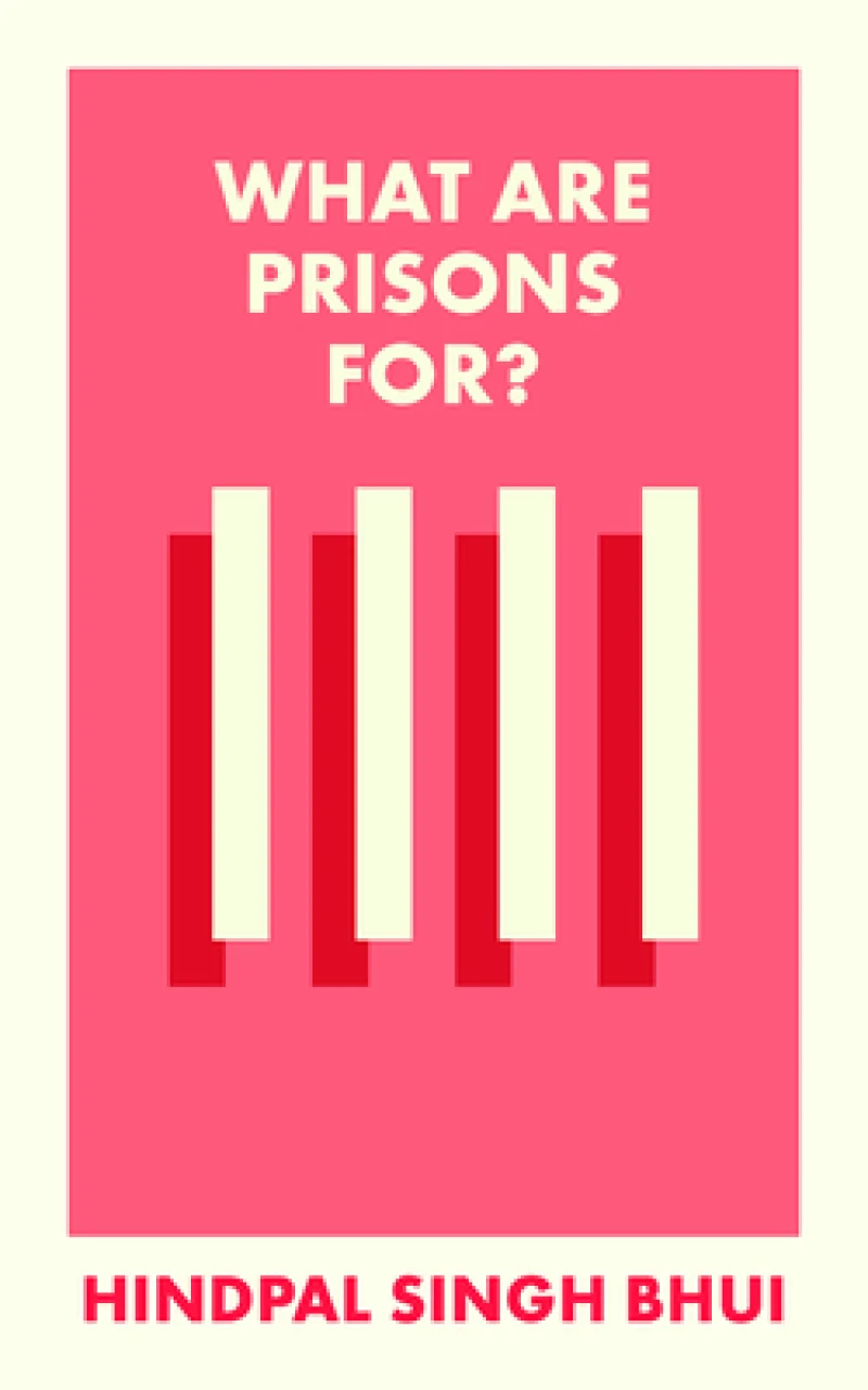 What Are Prisons For?