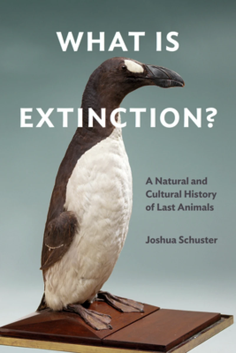 What Is Extinction?