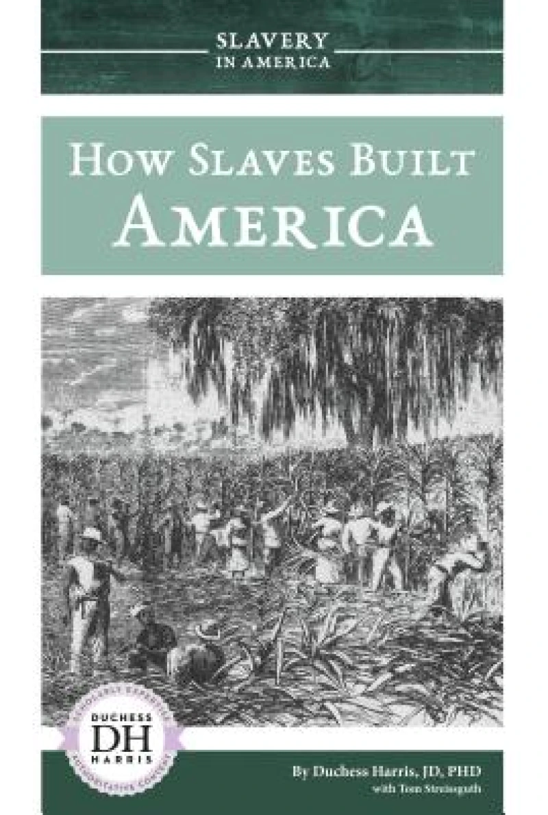 How Slaves Built America
