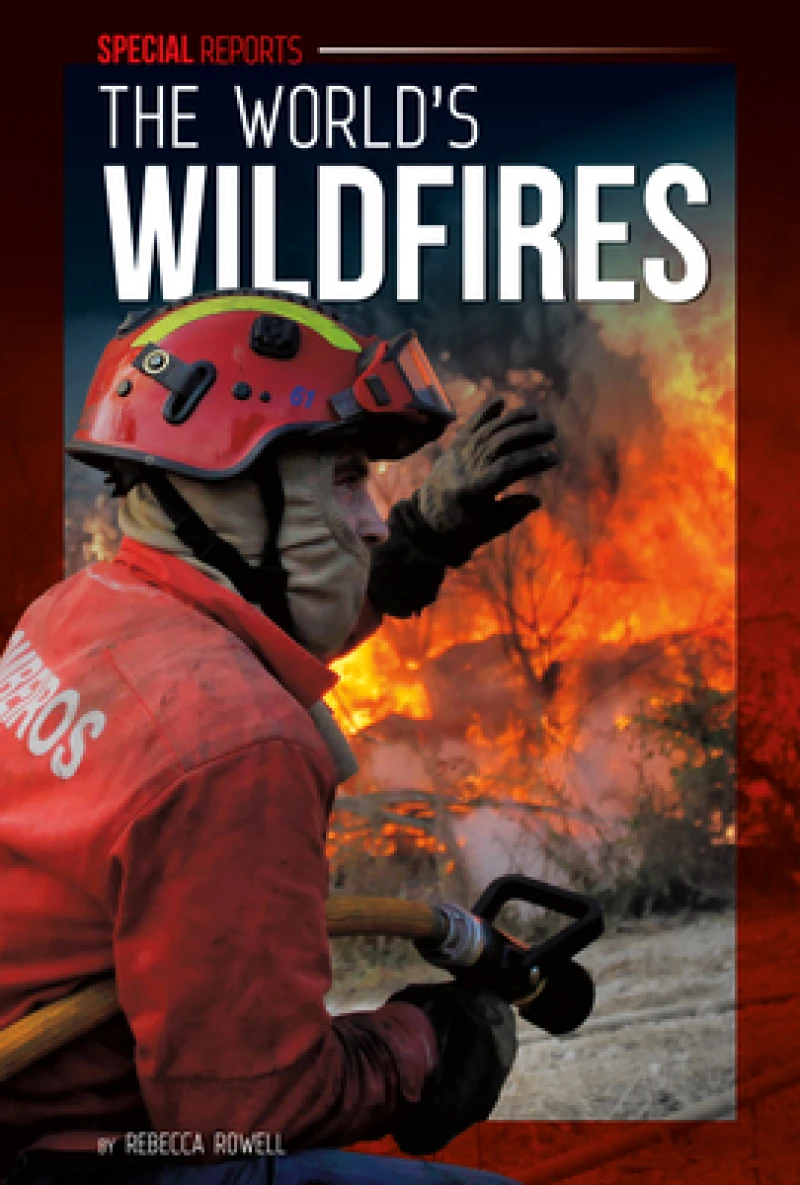 World's Wildfires