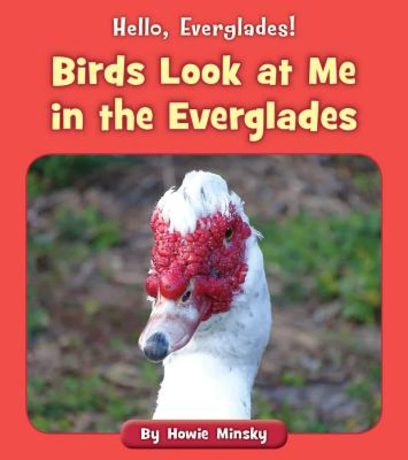 Birds Look at Me in the Everglades