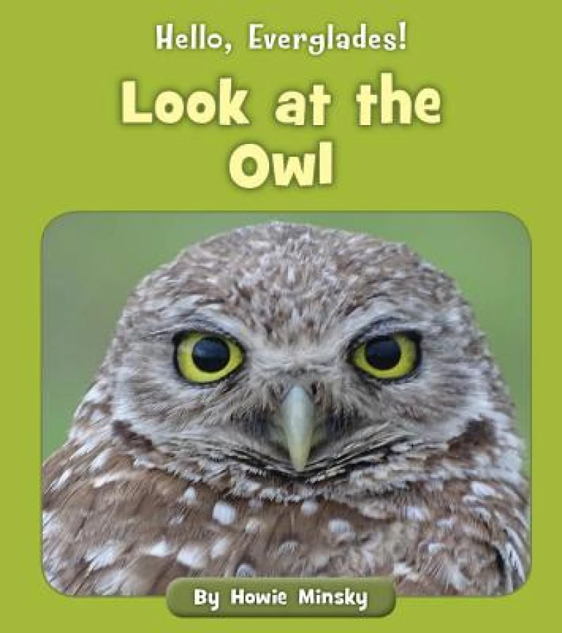 Look at the Owl
