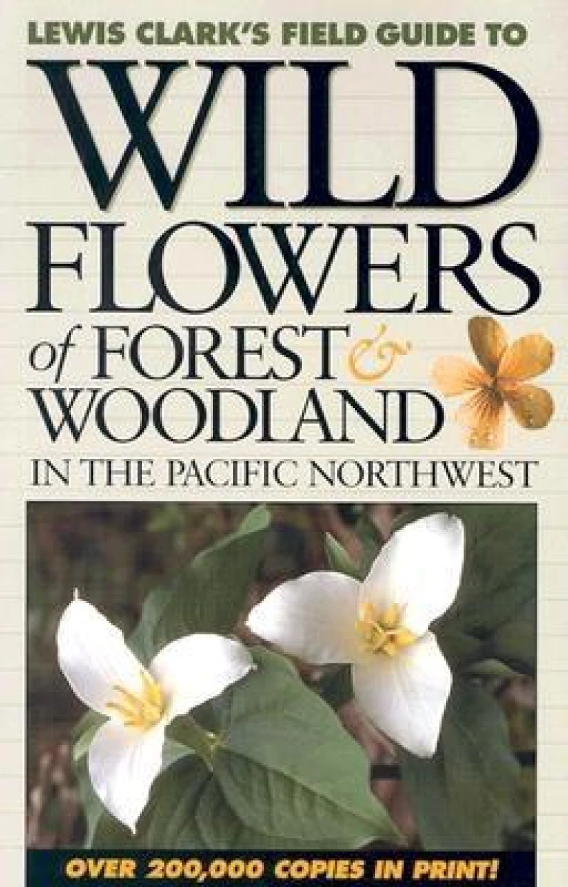 Wild Flowers of Forest & Woodland