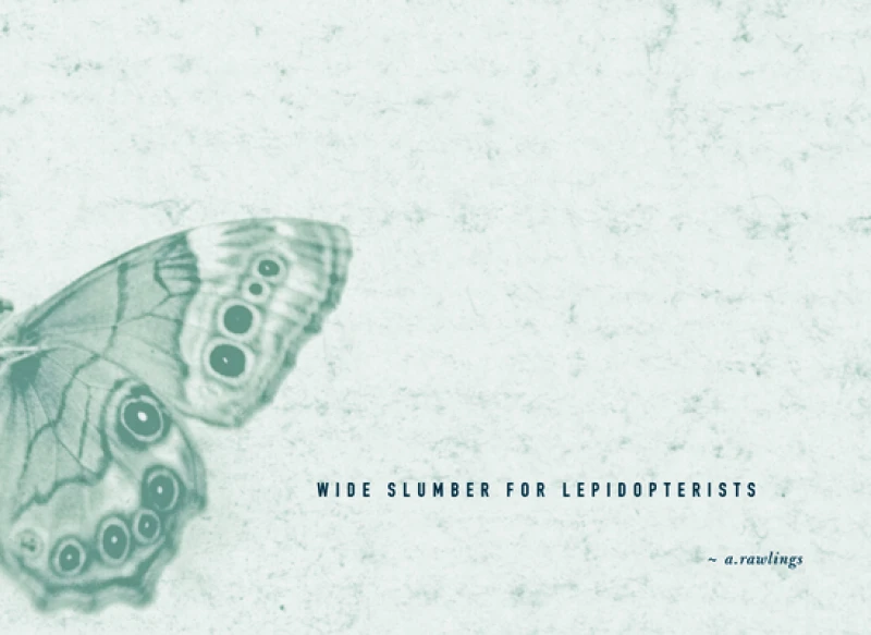 Wide Slumber for Lepidopterists