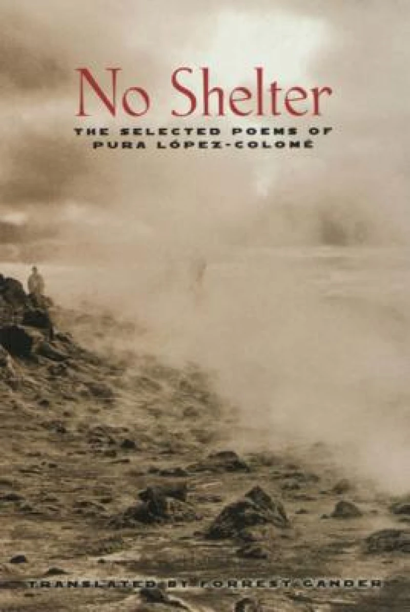 No Shelter