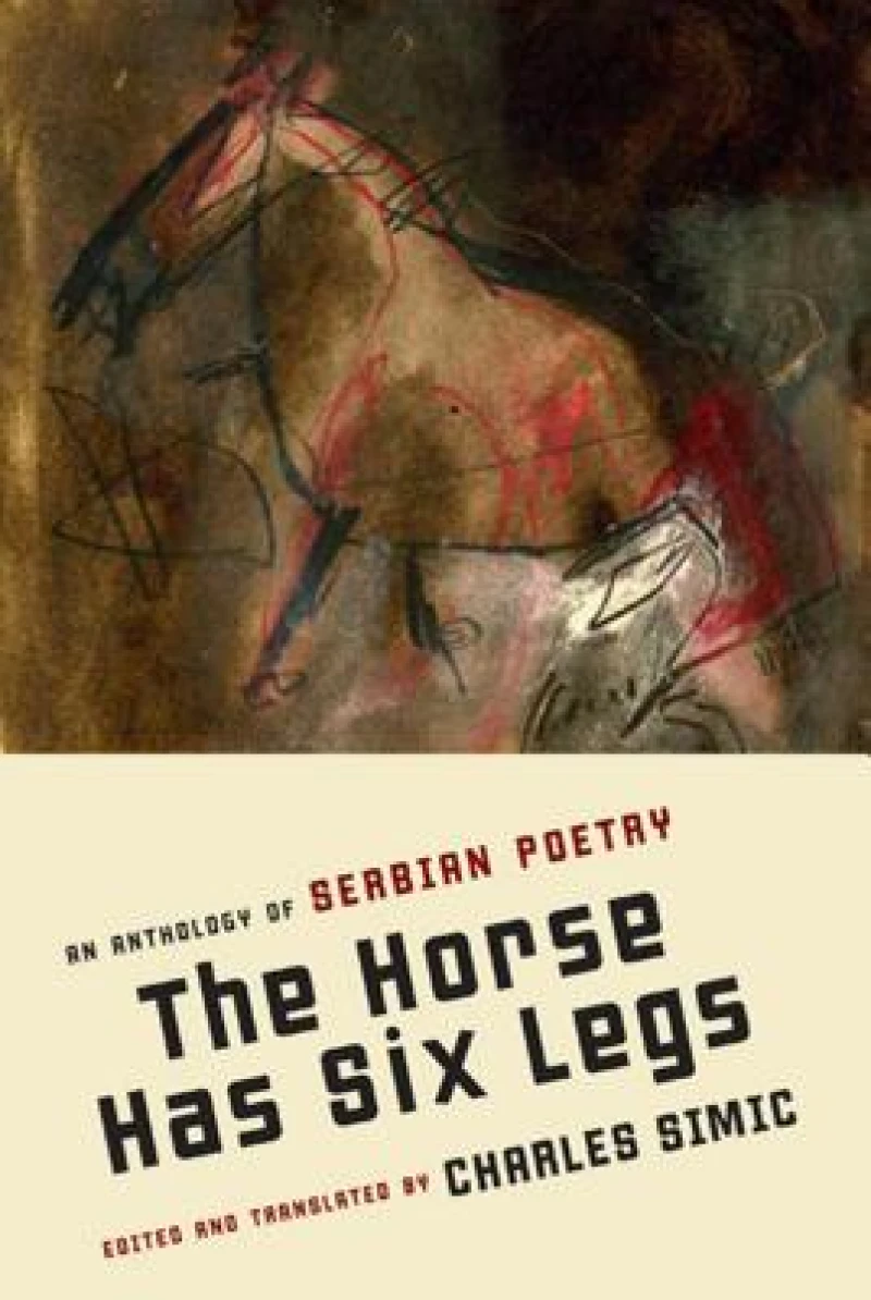 HORSE HAS SIX LEGS