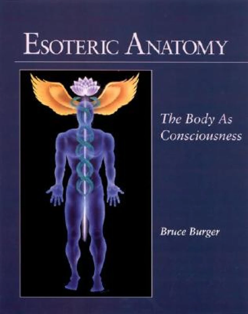 Esoteric Anatomy