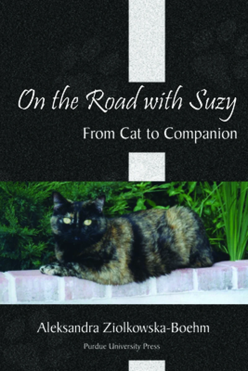 On the Road with Suzy