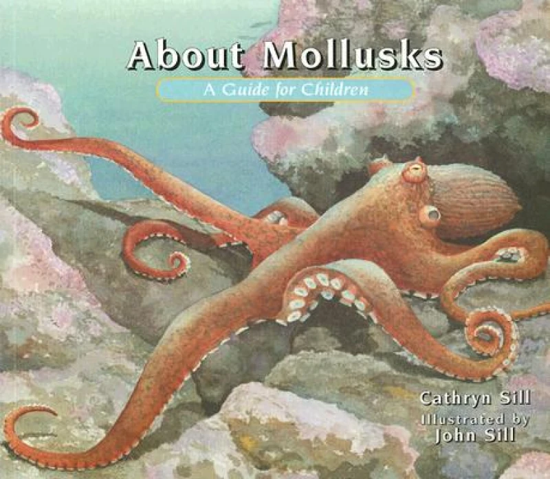 About Mollusks