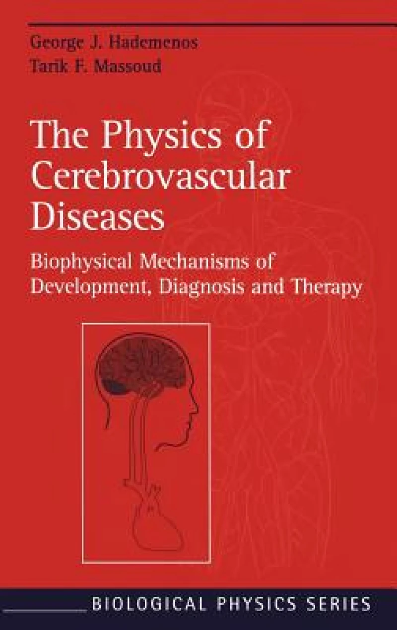 The Physics of Cerebrovascular Diseases