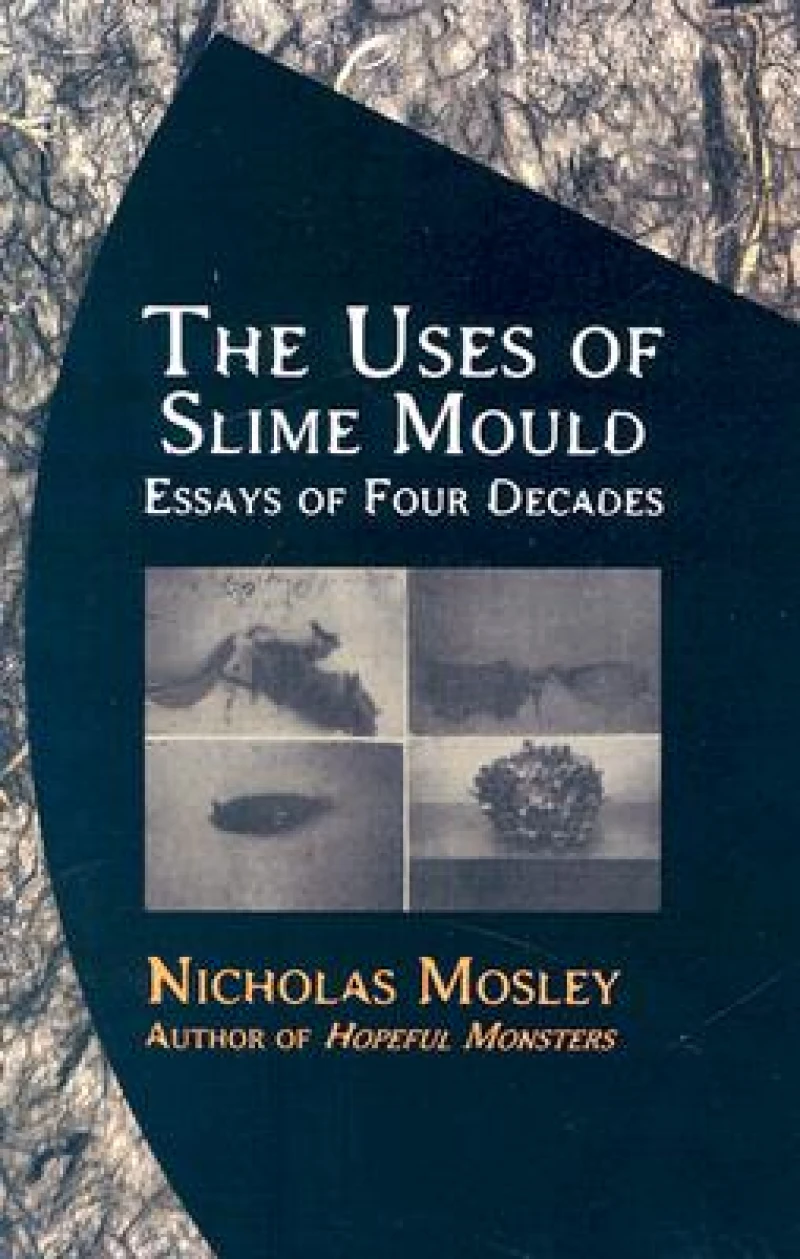 Uses of Slime Mould