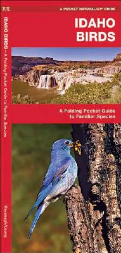 Idaho Birds