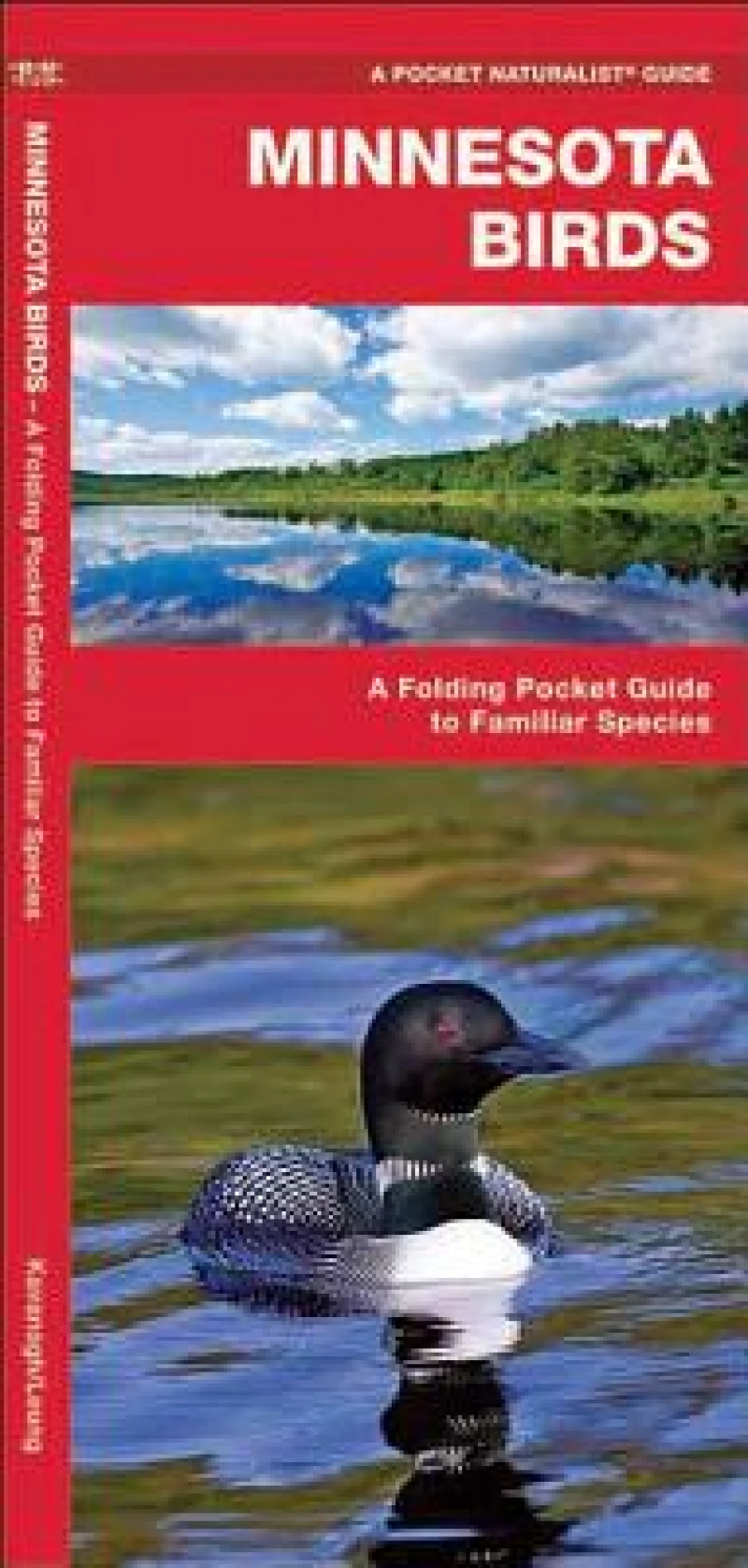 Minnesota Birds