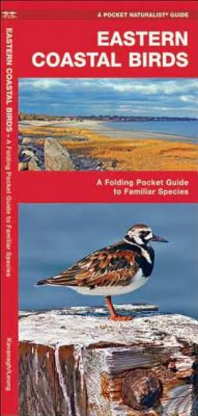 Eastern Coastal Birds