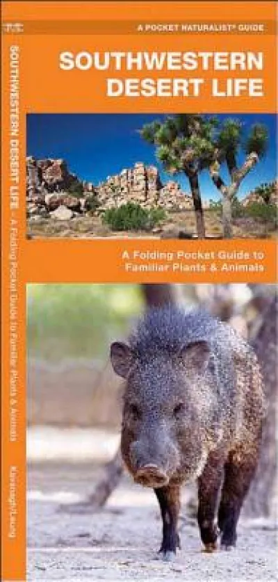 Southwestern Desert Life