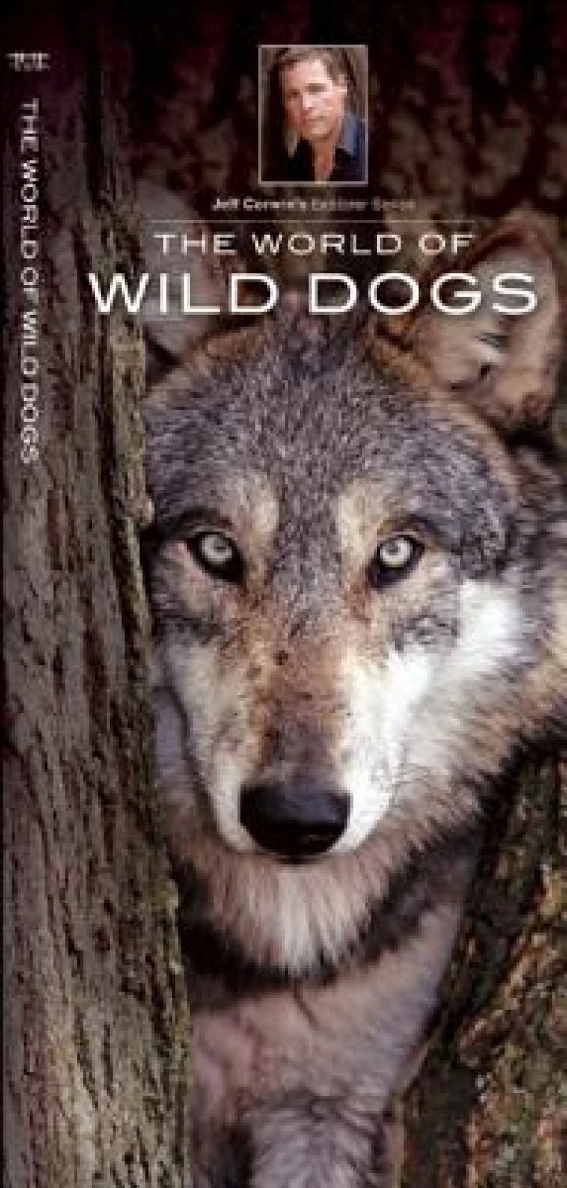 The World of Wild Dogs