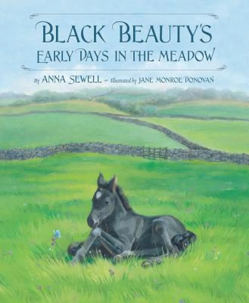 Black Beauty''s Early Days in the Meadow