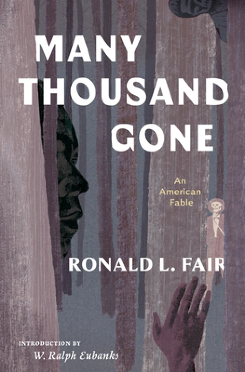 Many Thousand Gone: An American Fable