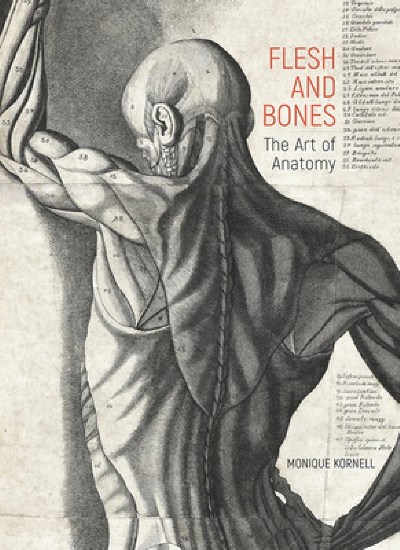 Flesh and Bones – The Art of Anatomy
