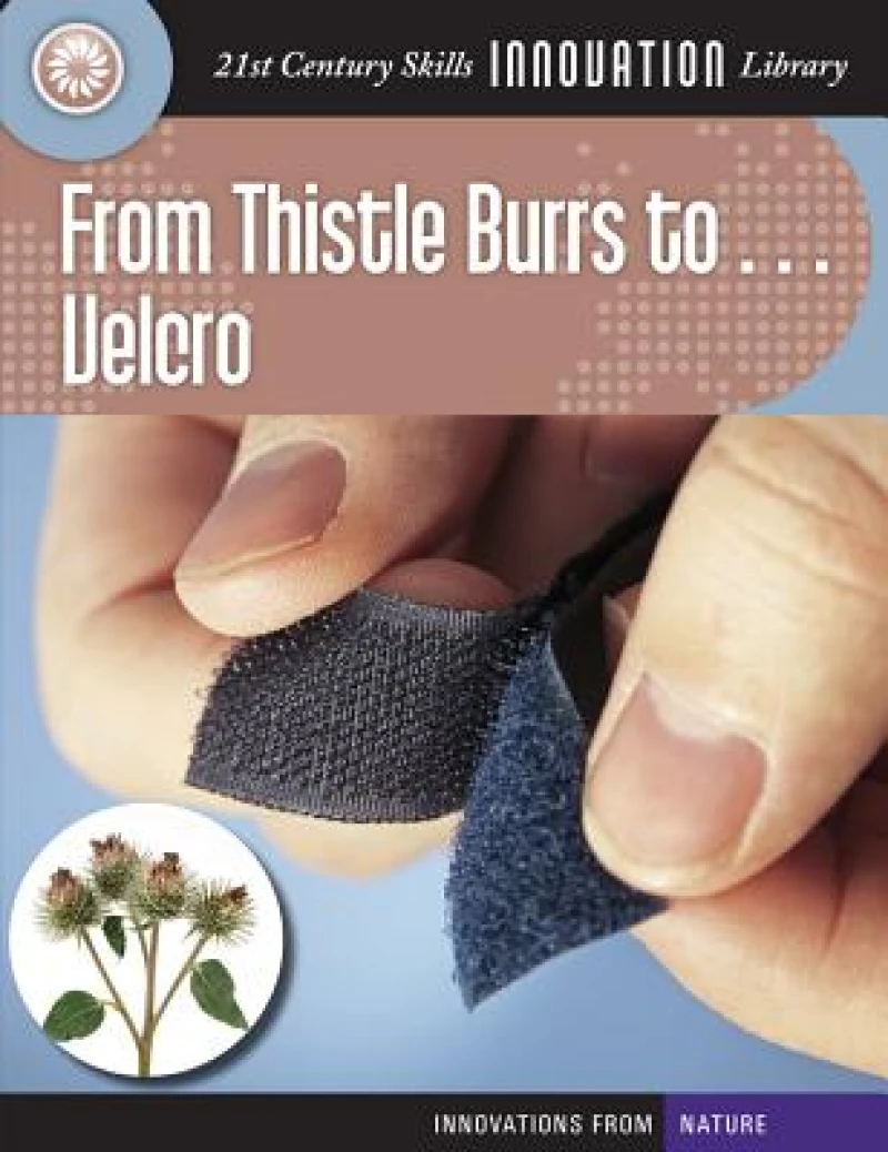 From Thistle Burrs to... Velcro