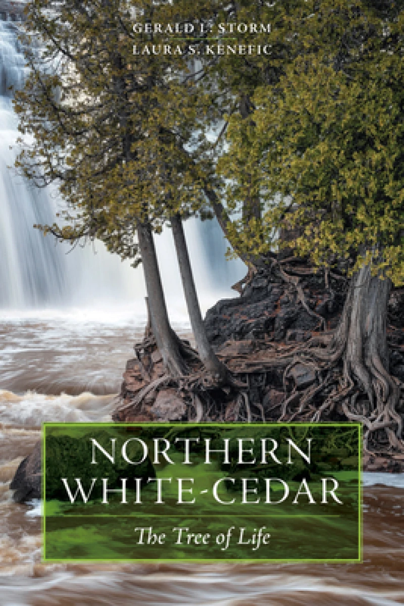 Northern White–Cedar – The Tree of Life