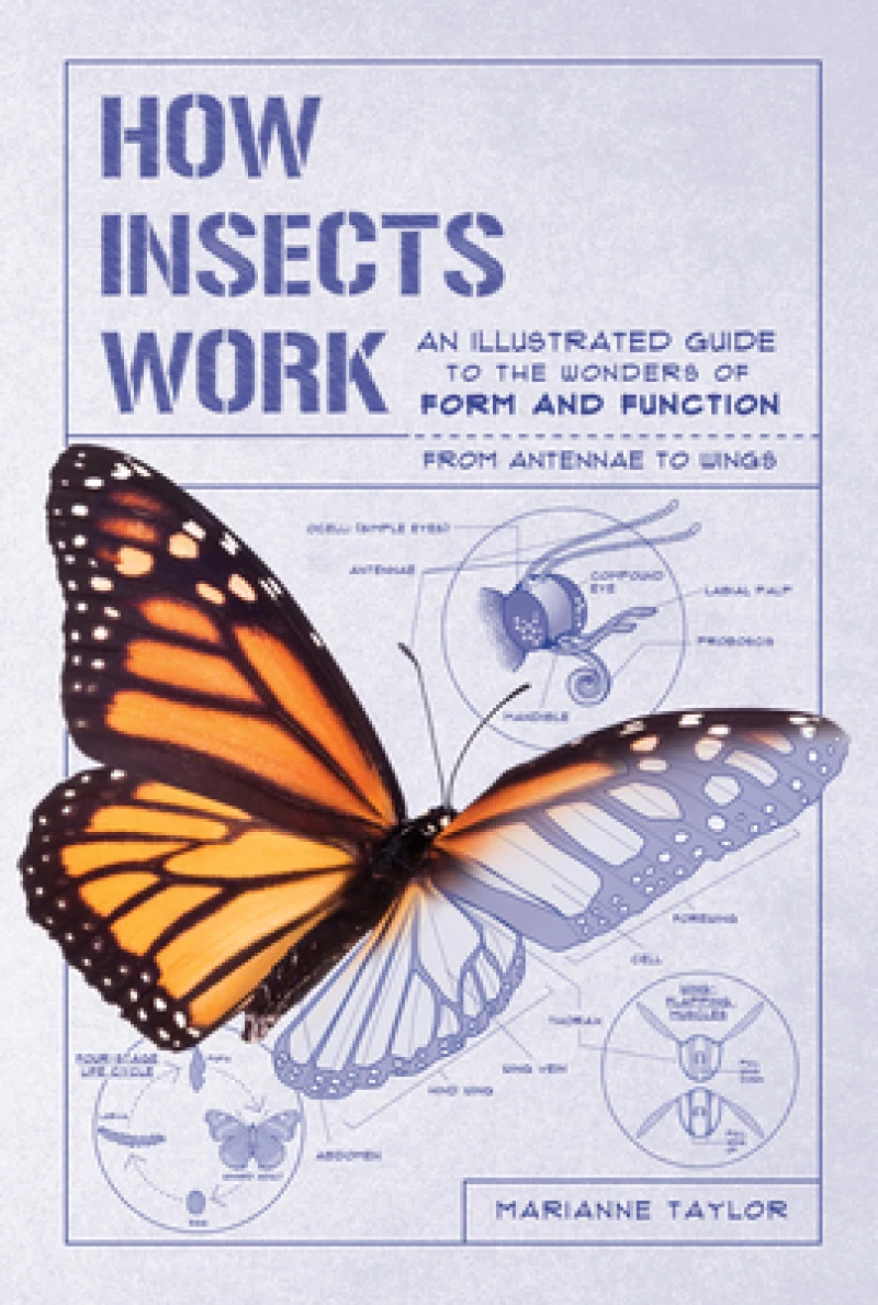 How Insects Work – An Illustrated Guide to the Wonders of Form and Function – from Antennae to Wings