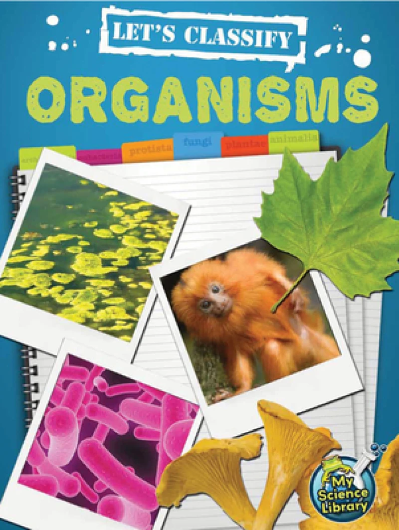 Let''s Classify Organisms