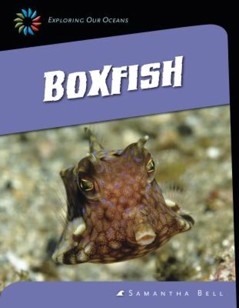 Boxfish