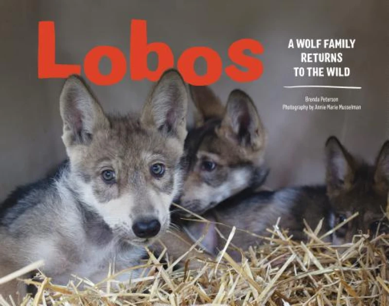 Lobos