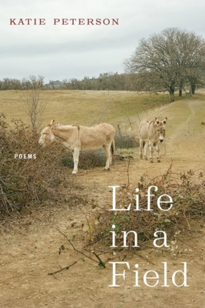 Life in a Field – Poems