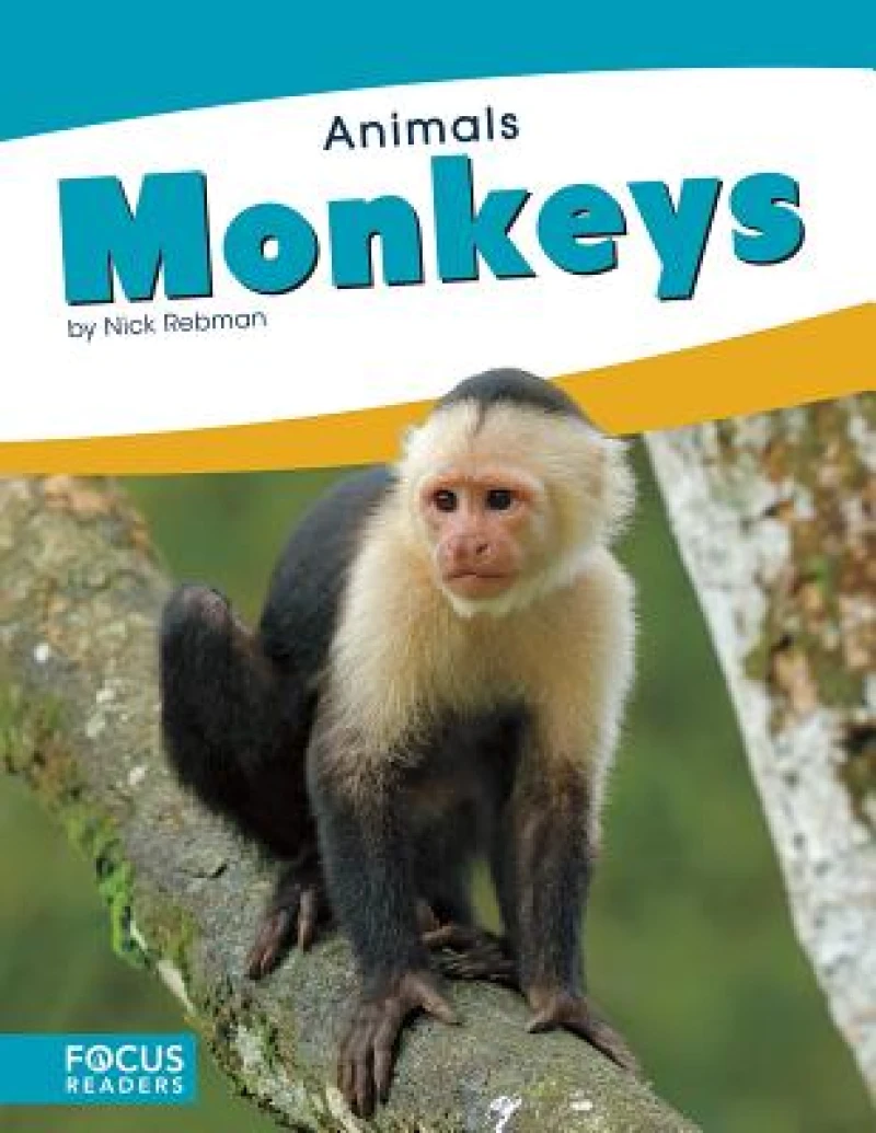 Monkeys