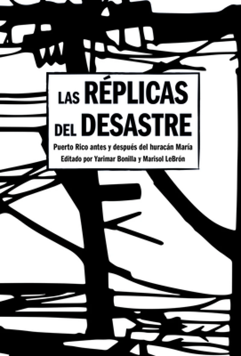 Aftershocks of Disaster